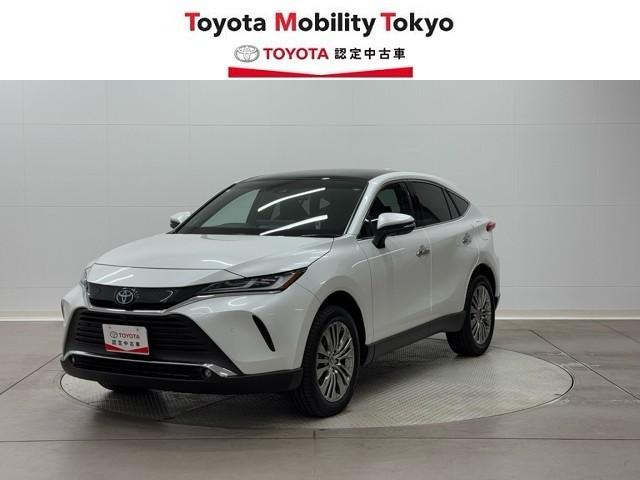 ȥ西 ϥꥢϥ֥å ڡ쥶ѥåѥΥޥ롼աϥǥ