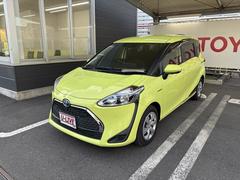 ȥ西󥿡ϥ֥åɡե١ǡţӣá⡼