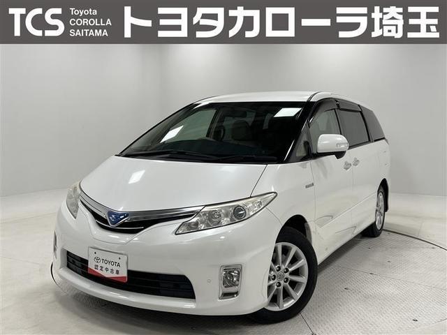 ƥޥϥ֥å ǡʥƥӡȣģĥʥӡե륻ԣ 0503600A20251114T003 1