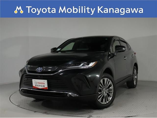 ȥ西 ϥꥢϥ֥å ڡ쥶ѥå