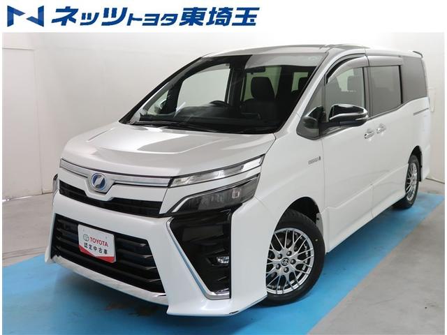 ԸΤͤؤ˸¤餵ĺƤޤ ʥ˥դΥڣɣ 1