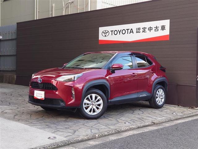 ɥ쥳ȥҡϥɥҡ֥롼ȥǽդ 1