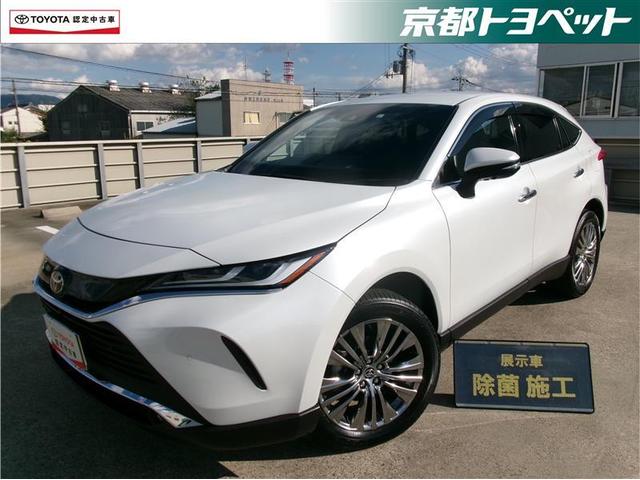 ȥ西ǧżܸ֡ؤ˸ꤤޤ ͥƥåɥʥӡϥ˥ưդʣաݣ 1