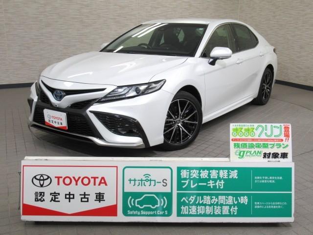 ˤĤޤƤϡʼ˸˸¤ޤ Ȥ곰ƥǴݤԤäƤޤ 1