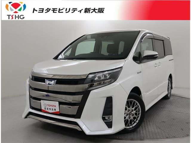 ȥ西 Υ ϥ֥åɣӣ顡ե륻꡼ʥӡģ֣ĺ