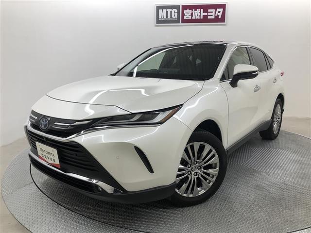 ϥꥢϥ֥å ڡ쥶ѥåﳲڸƥࡡף 0900009A20251114T002 1