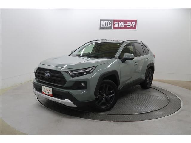 ȥ西 ң֣ ϥ֥åɥɥ٥㡼ﳲڸƥࡡףġХå