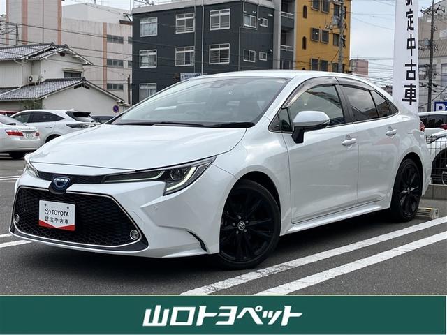  ϥ֥åɡ֥Хӡߥꥪ󥨥ǥ󡡥ե륻꡼ʥ 1002214A20251114T003 1