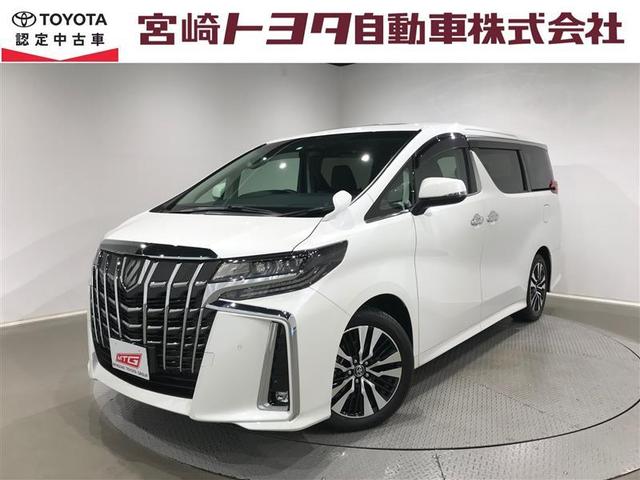 ե ӡåѥåξưɥ¥˥ 1100849A20251114T001 1