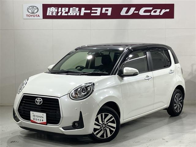 ѥå ⡼ޡȥȯǽХåɥ˥ 1101816A20251114T002 1