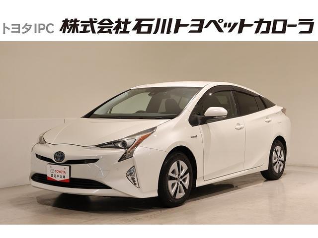 ȥ西 ץꥦ ե륻꡼ʥӡģ֣ĺ