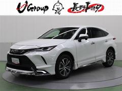 ȥ西ϥꥢǡףġ꡼ʥӡߥ塼åץ쥤䡼³