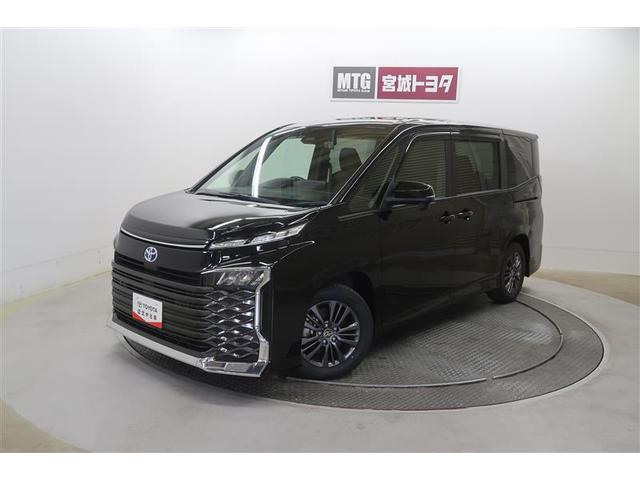 ȥ西  ϥ֥åɣӡݣǡﳲڸƥࡡХå顡ţԣ