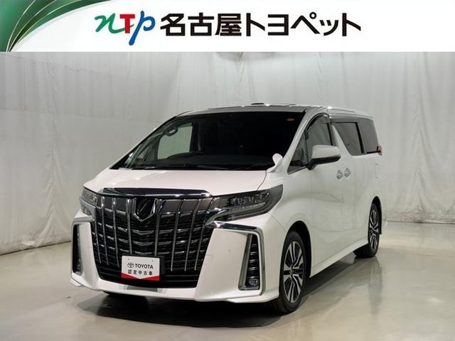 ȥ西 ե ӡåѥåﳲڸƥࡡ꡼ʥ