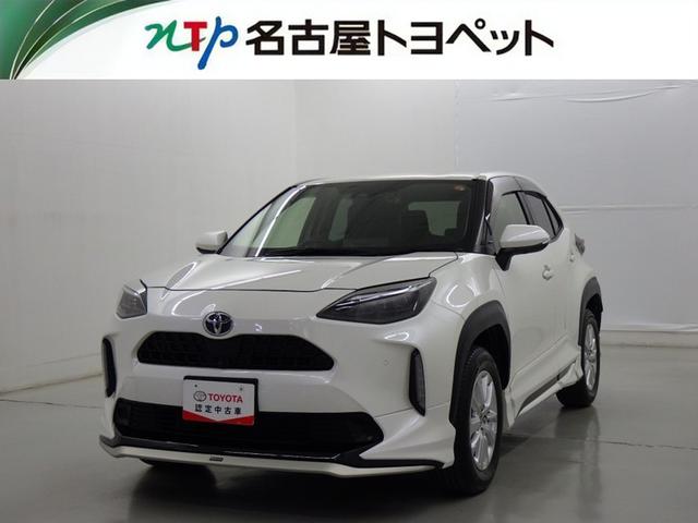 ȥ西 ꥹ ǡﳲڸƥࡡ꡼ʥӡե륻