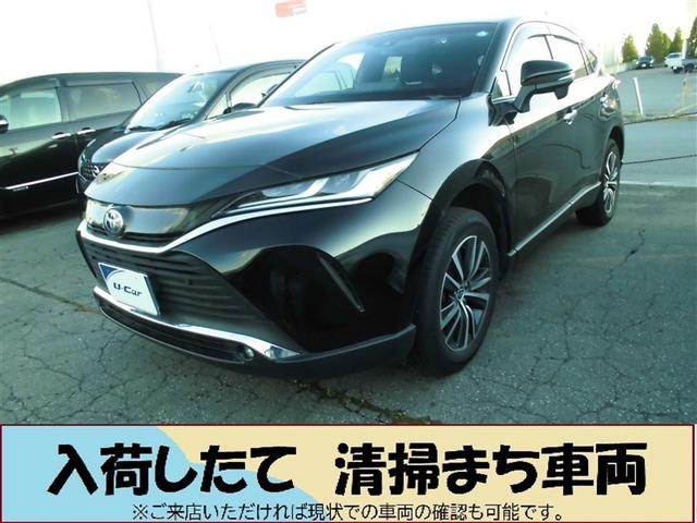 ȥ西 ϥꥢϥ֥å ǡףġե륻꡼ʥ