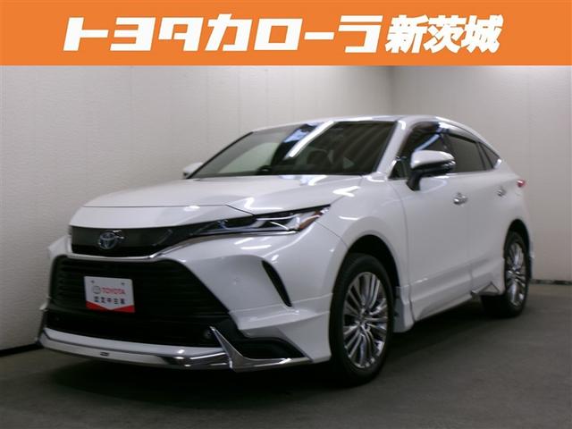 ȥ西 ϥꥢϥ֥å ڡե륻꡼ʥӡߥ塼åץ쥤䡼³