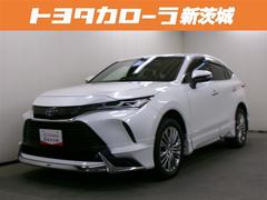 ϥꥢϥ֥å ڡե륻꡼ʥӡߥ塼åץ쥤䡼³ġХå顡ﳲڸƥࡡţԣáɥ쥳̣ţĥإåɥסե륨Ͽɥ󥰥ȥå