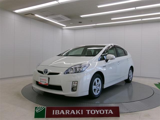 ץꥦ ӡ¥˥ݡʥӡǥ奢륨Хå 0401155A20251115T002 1