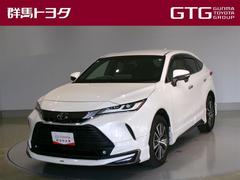 ȥ西ϥꥢǡե륻꡼ʥӡߥ塼åץ쥤䡼³