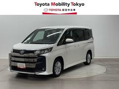 Υ ϥ֥åɣӡݣǡξưɥͲ֥졼֥륨󡡣֡ӡ륳󡡥Хåɥ˥ɻ֡Ͽ̣ţĥإåɥ饤ȡɥ饤֥쥳쥹ޡȥ󥷡