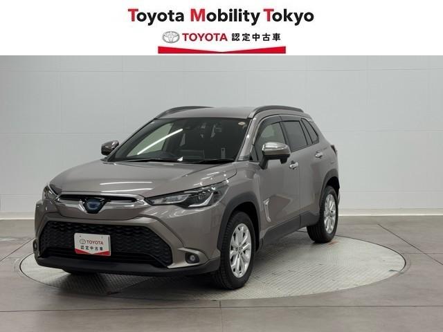 ȥ西 饯 ϥ֥åɡӡͷڸʥ