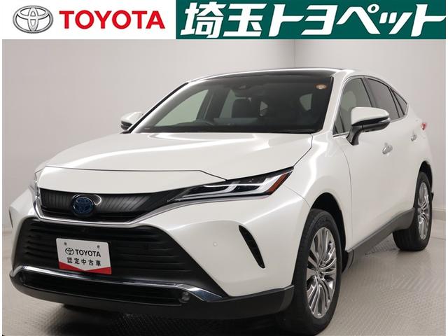 ԸˤʤޤŹˤ䤤碌 1