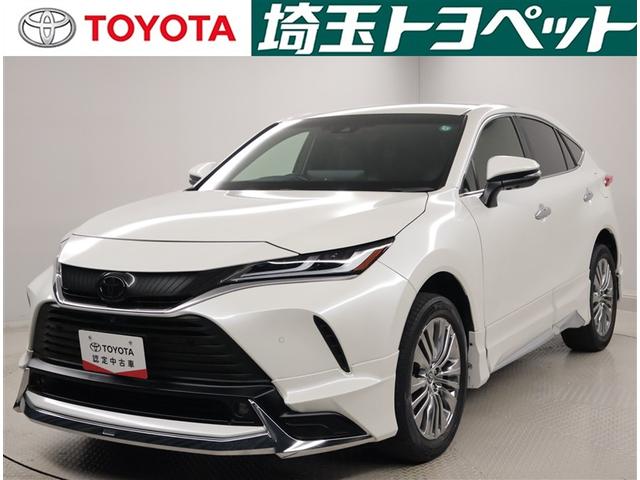 ԸˤʤޤŹˤ䤤碌 1