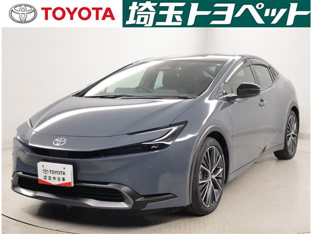 ȥ西 ץꥦ ǡʥӡԣ֡ﳲڸ֥졼