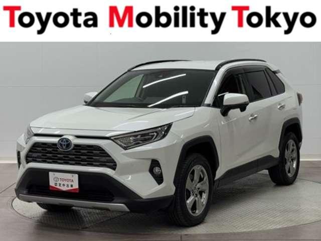 ȥ西 ң֣ ϥ֥åɣǡﳲڸ֥졼ָաѥХåɥ