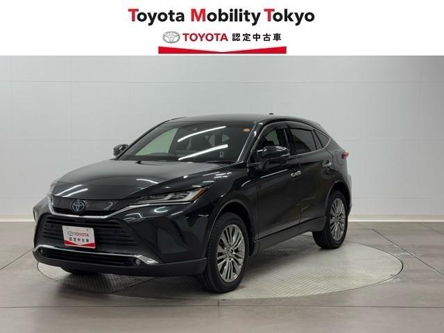 ȥ西 ϥꥢϥ֥å ڡϾǥ롡ﳲڸɥХå