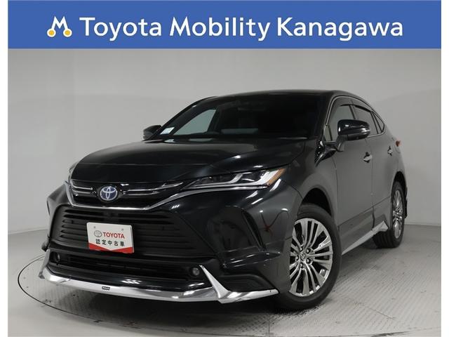 ǥꥹե륨ǥץߥॹ˥ɥ쥹åסʣ£ 1