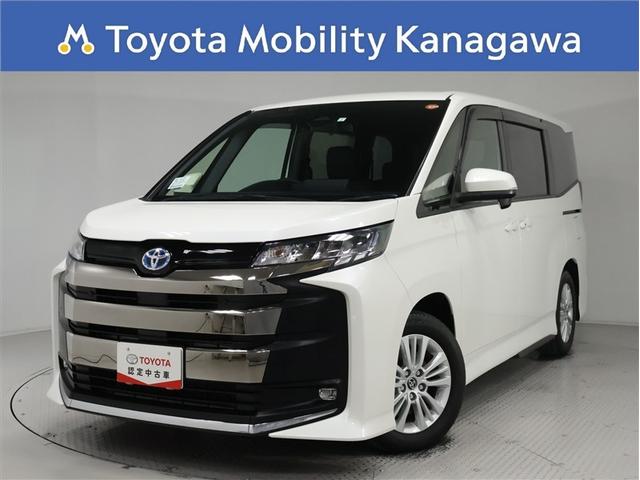 ߤξ¦ѥ饤ɥɥ ȥ西ǧż֡ģʥӡХå˥˥С륹ƥå 1