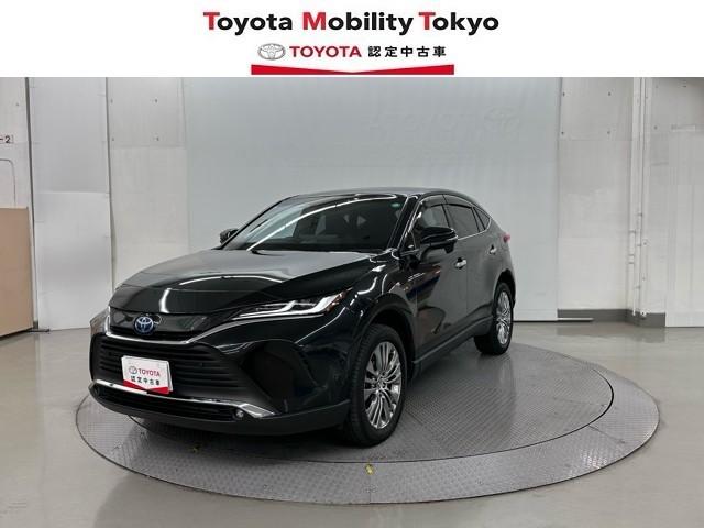 ȥ西 ϥꥢϥ֥å ڡ쥶ѥåѥΥޥ롼աϥǥ