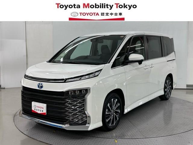 ȥ西  ϥ֥åɣӡݣڡѥɥģ֣ĺǽƥꥭ