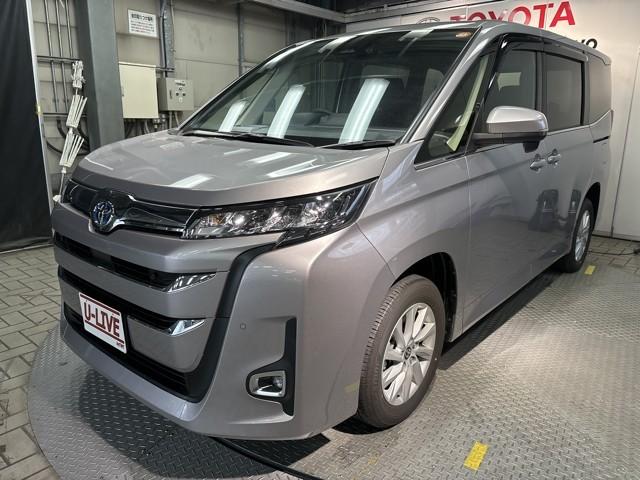 ȥ西 Υ ϥ֥åɣạ̇̄ţĥإåɥ饤ȡХå˥󥪡ʡ