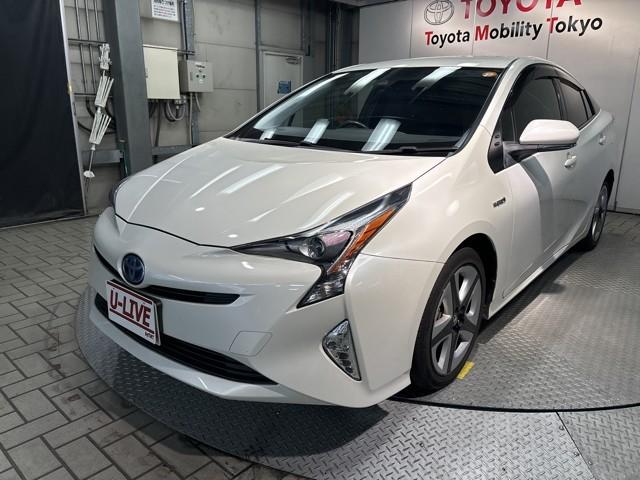 ȥ西 ץꥦ ӥġ󥰥쥯󡡥졼֥졼ݡȡե륪ȥ󡡥ǥ奢륨Хå