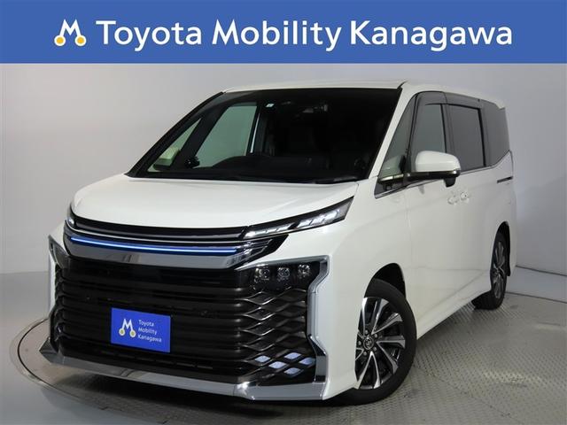 ʥ˥ͥƥåɥʥӣУ̣գӡŬإѥå 1