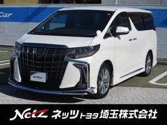 ȥ西եɡӡץɡӡХå˥