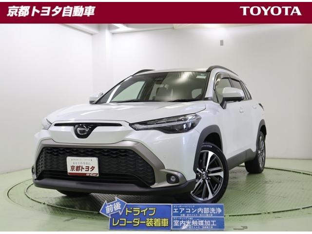 【ＴＳＳ】ルーフレール・前後ドラレコ・ＬＥＤ・ＤＡナビ・ＵＳＢ・全方位カ