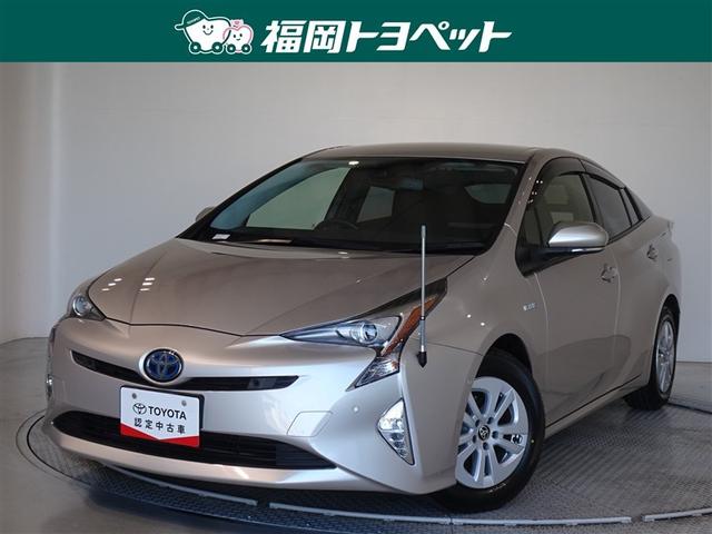 ȥ西 ץꥦ ӥեƥץ饹ﳲڸƥࡡ꡼ʥӡ󥻥