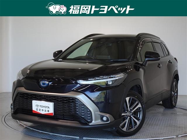 ȥ西 饯 ϥ֥åɡڡﳲڸƥࡡХå