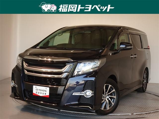 ʡ߽ΤߤؤǤڣ ͵ιߥ˥ХʥƥꥢΣåѥưǳĤХåɥ 1