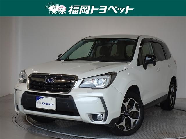 Х ե쥹 ӡݥߥƥåɡޡȥǥ󡡾ﳲڸƥࡡ꡼ʥ