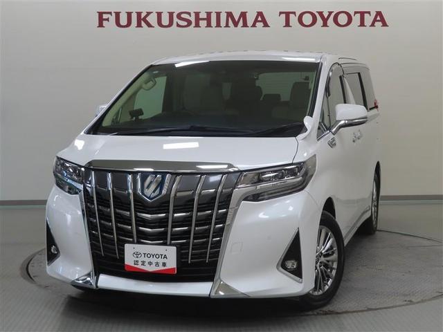 ȥ西 եɥϥ֥å ǡƥѥåףġե륻