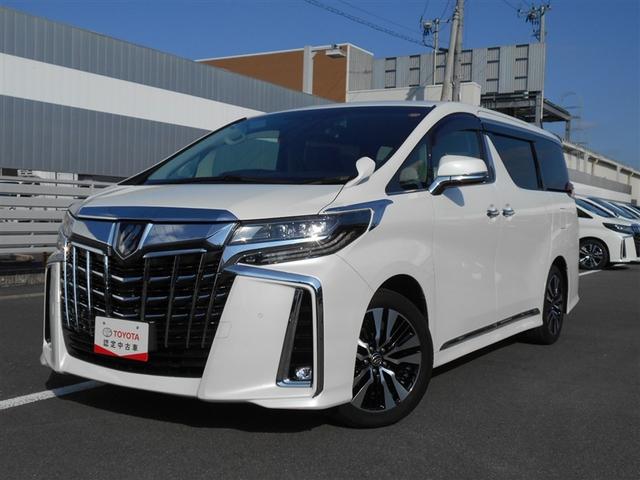 ȥ西 ե ӡåѥåե륻꡼ʥ