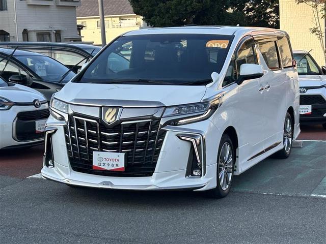 ե ӡץɡ롼աե륻 1000350A20251115T003 1