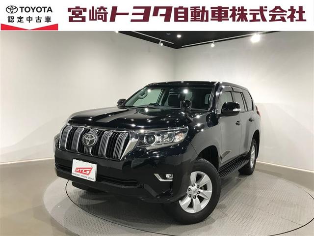 ȥ西 ɥ롼ץ ԣء̥ѥåꥢ顡ޡȥ