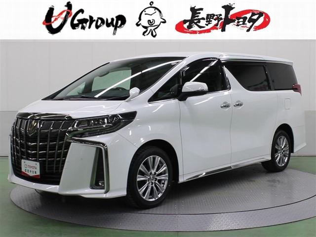 ե ӡץɡףġ꡼ʥ 1200596A20251115T002 1