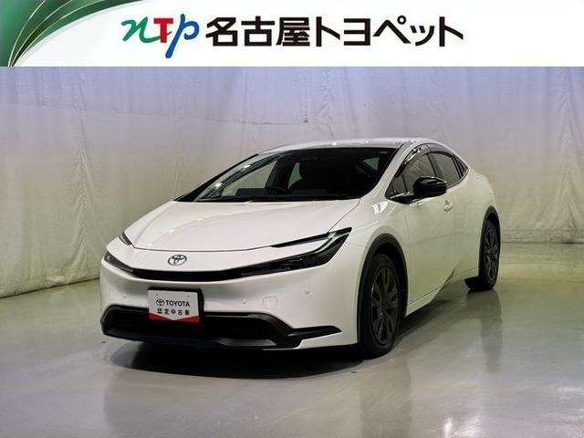 ȥ西 ץꥦ ءﳲڸƥࡡե륻Хå